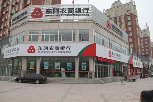 山东金腾人力资源服务—东阿农商银行 山东金腾人力资源服务—东阿农商银行